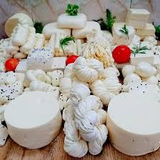 الجبن ومنتجات الألبان